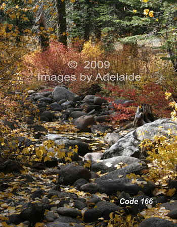 Autumn Colors at Herring Creek